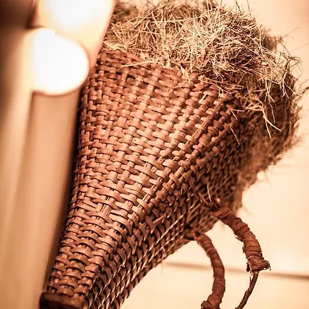 Aktivhotel Tuxerhof מלון